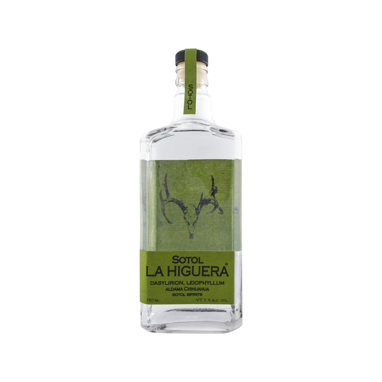 Sotol La Higuera Leiophillum
